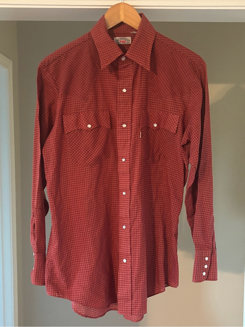 Levi's Red Check Long-Sleeve Pearl Snap Shirt